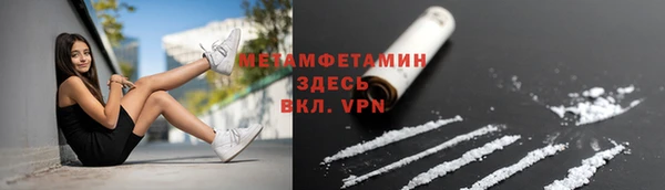 твердый Осинники