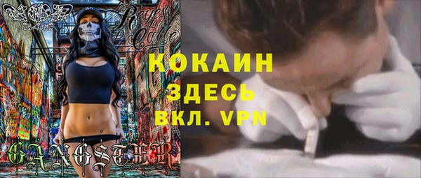 твердый Осинники