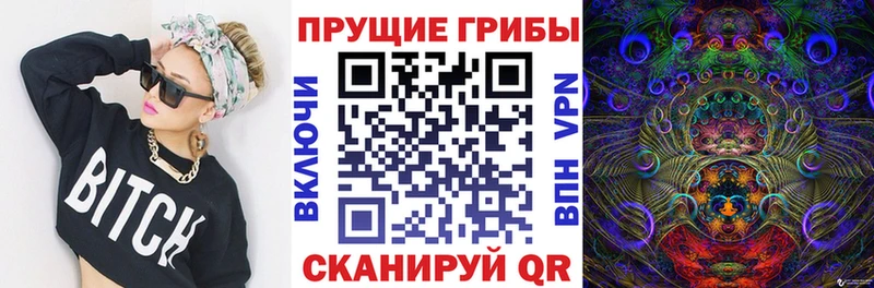 даркнет сайт Соликамск Псилоцибиновые грибы MAGIC MUSHROOMS