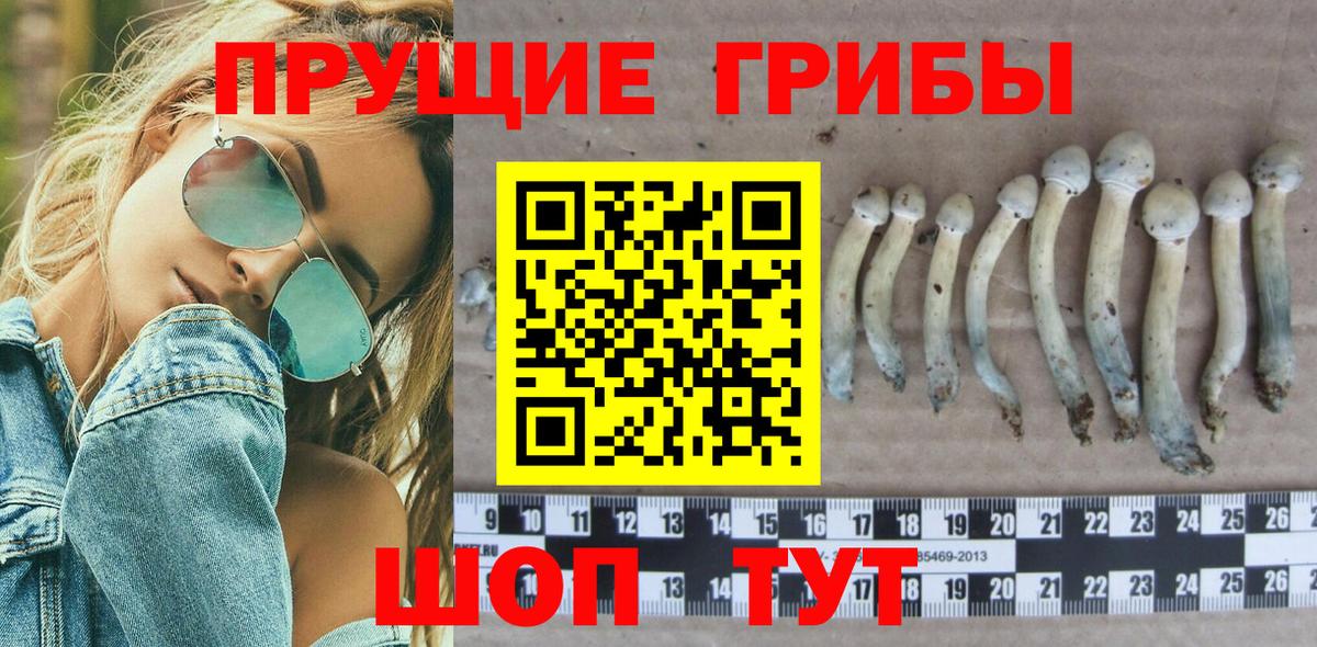 Псилоцибиновые грибы Magic Shrooms  Соликамск 