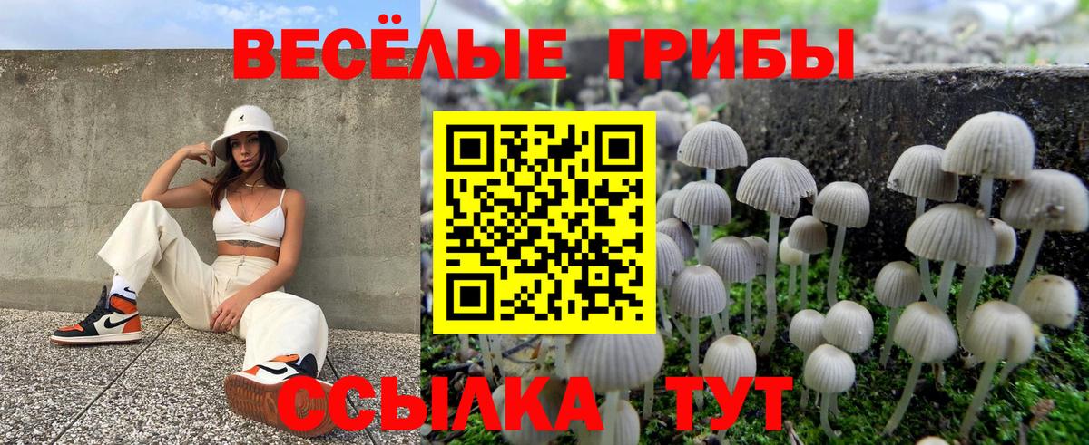 Псилоцибиновые грибы Psilocybine cubensis Соликамск