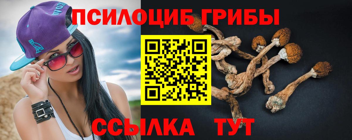 Псилоцибиновые грибы Magic Shrooms  Вход с VPN  Соликамск 